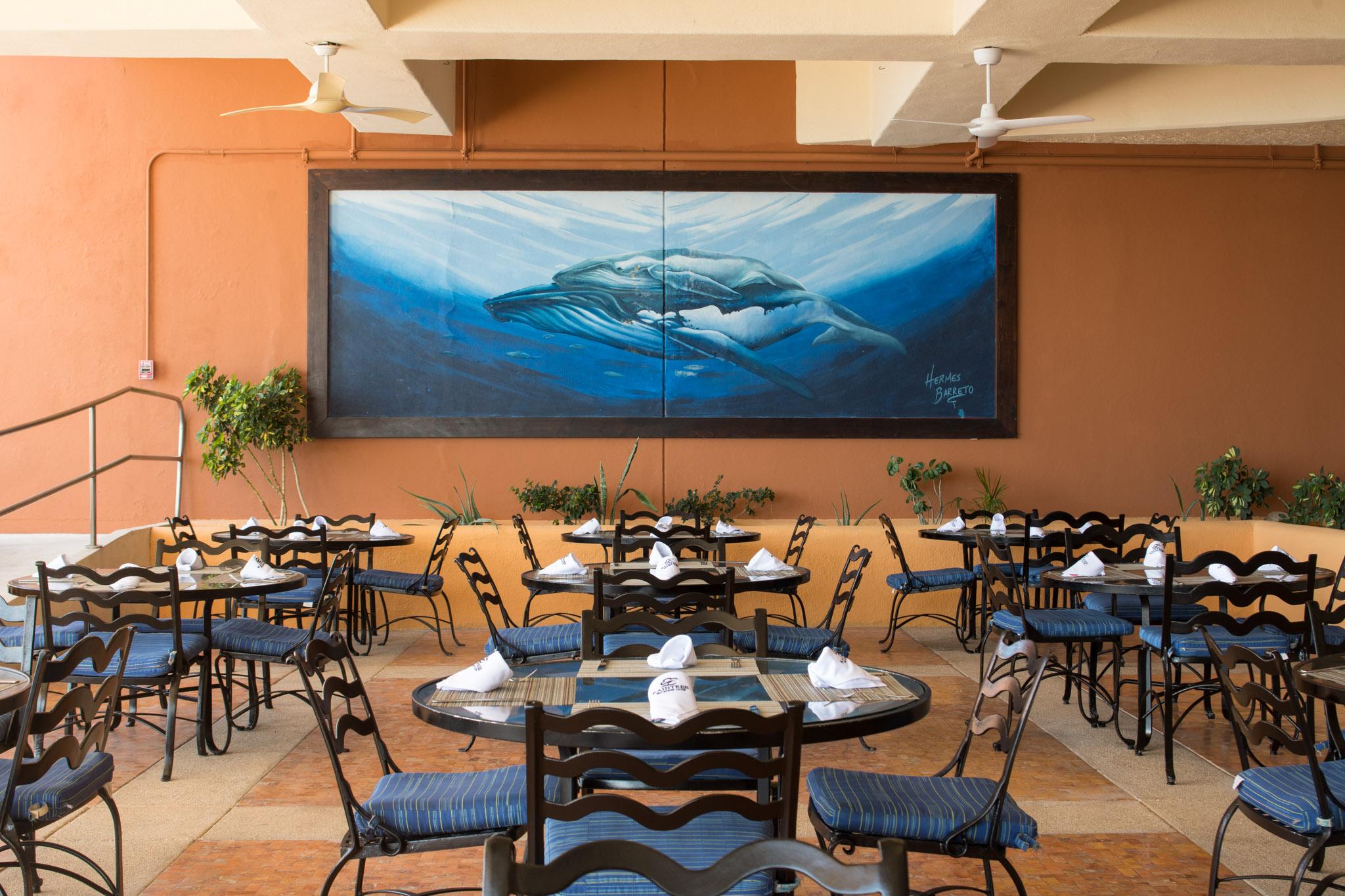 Club Regina Los Cabos San Jose del Cabo Exterior photo